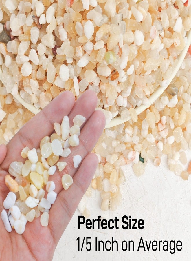 CJGQ 2.4lb Aquarium Gravel for Plants,1/5 Inch Natural Decorative River Rocks for Succulent and Cactus Landscaping, Natural Small Rocks for Fish Tanks, Vases & Terrariums - Image 2